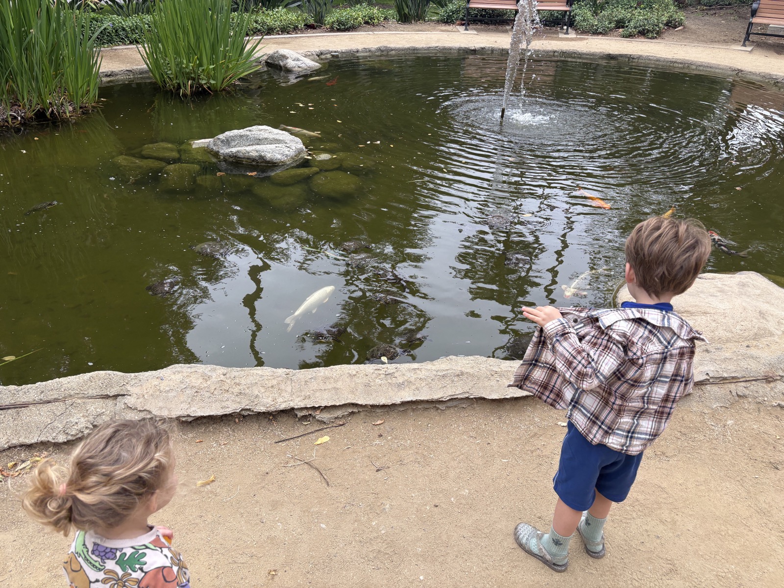 Family at a pond in Los Angeles